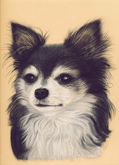 Poco Perritto (Tiny Puppy) by Lorri Dixon