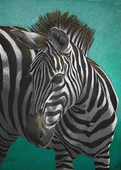 Zebra Badeebra by Mary Beth Lesko