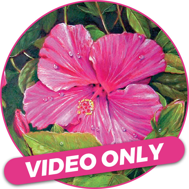 Morning Hibiscus Video Only.jpg__PID:b8f2b99b-0525-4f20-96fd-9e20a42e33d0