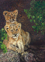 Wild Innocence - Colored Pencil Artwork by P. Craig Ellertson