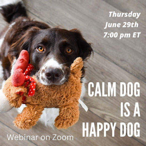 Sign up for Calm Dog Happy Dog