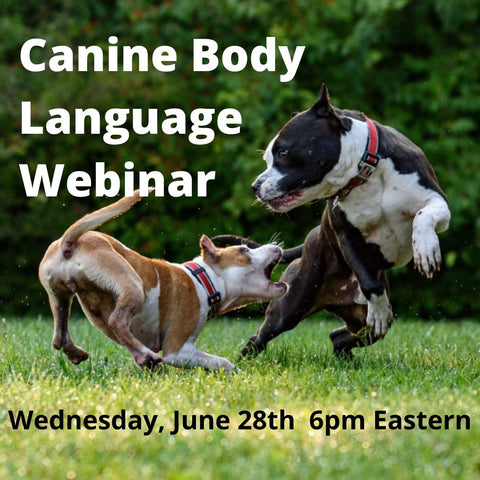 Canine Body Language Webinar