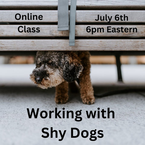 Sign up for Working with Shy Dogs