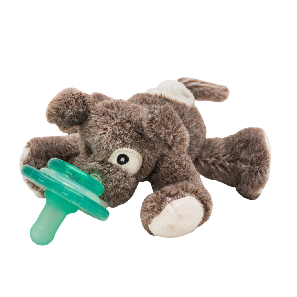 dog pacifier toy