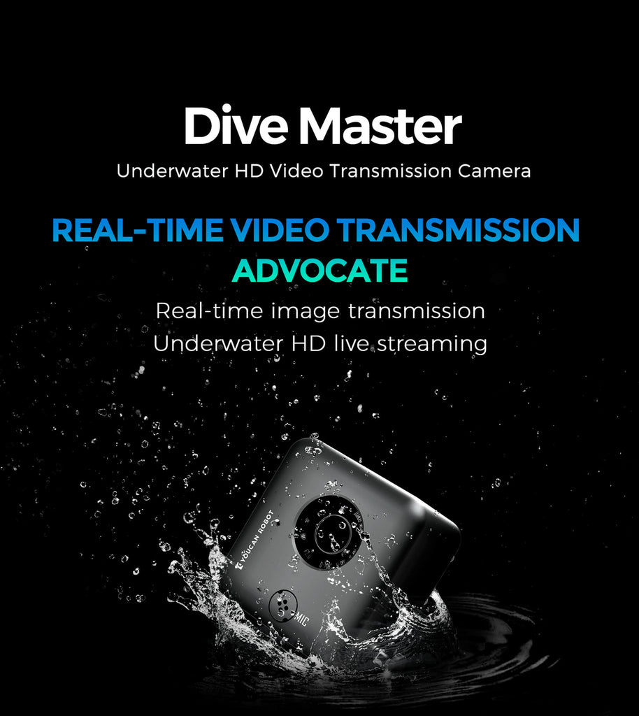 Dive Master Underwater Camera buy