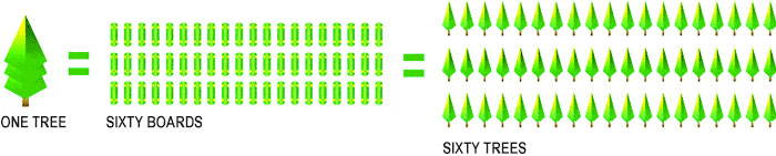 tree planting diagram