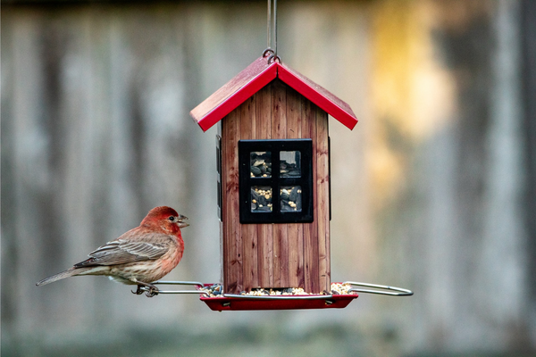 Invite birdlife with functional decor | Porch & Patio Decor Ideas For Spring and Summer 2021