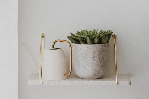 Succulents make great gifts for college students to uplift their mood | Prosperity Candle