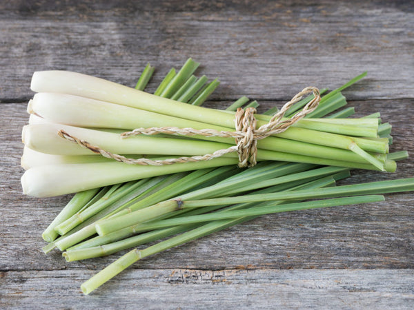 Lemongrass | 5 Favorite Aromatherapy Scents for Stress Relief