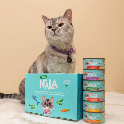 best tuna for cats