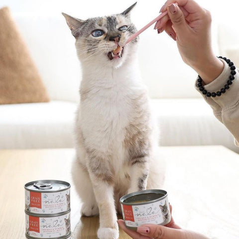 healthiest cat food