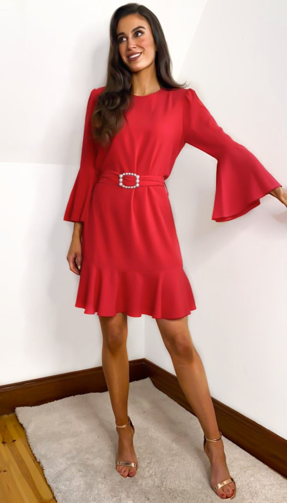 occasion shift dress with sleeves