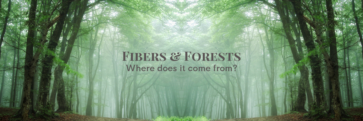 Image of a forest with the words "Fibers and Forests. Where does it come from?"