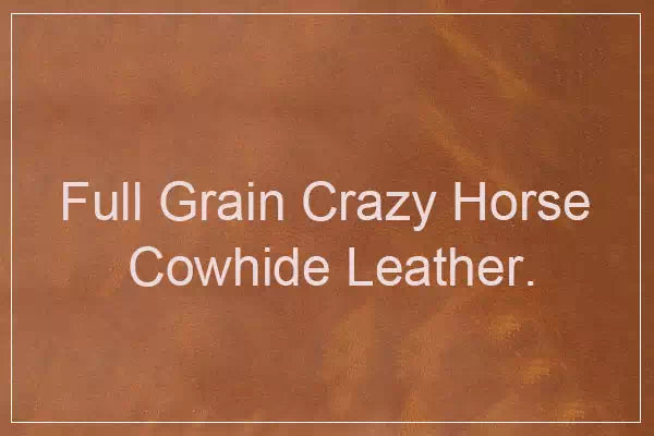 Men's vintage Crazy Horse leather duffle bag