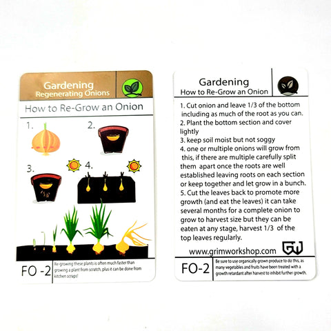 gardening tip card on how to regrow an onion including how to regrow green onions