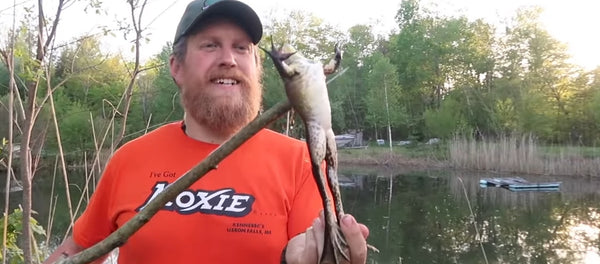 Frog Gigging 101: How to Gig for Frogs in the Water