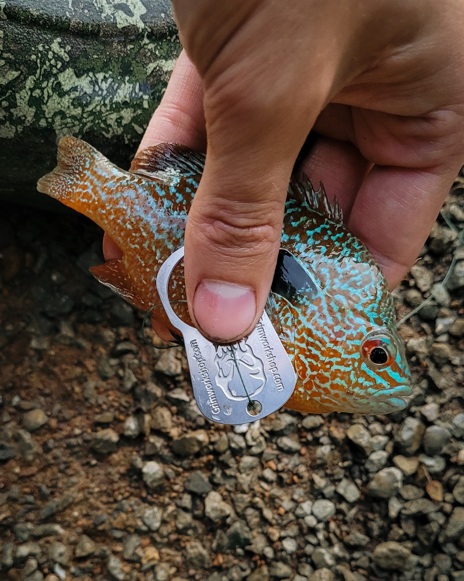 Pocket Fishing Kit, DIY Hand Fishing Reel