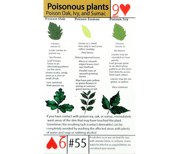 Poisonous Plant Identification - EDC Tip Card #55 - Wilderness Survival ...
