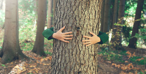 person hugging a tree