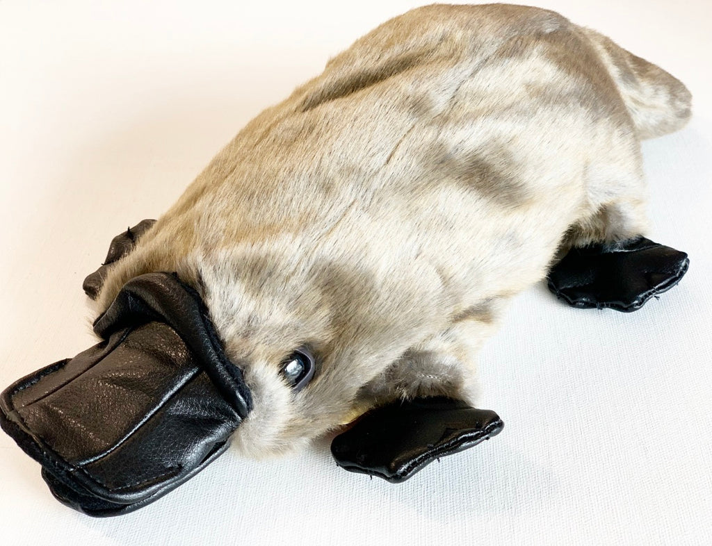 puma slides platypus