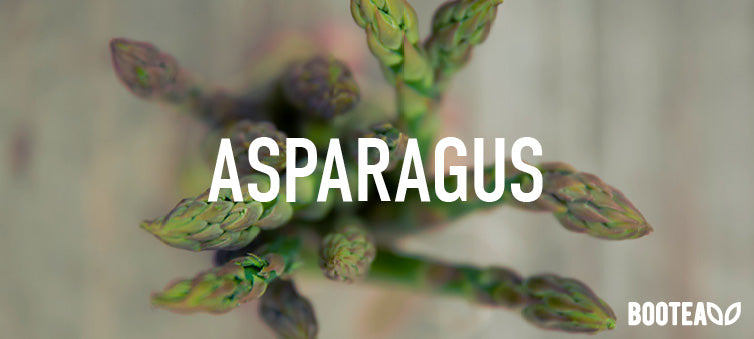 Bootea - Asparagus