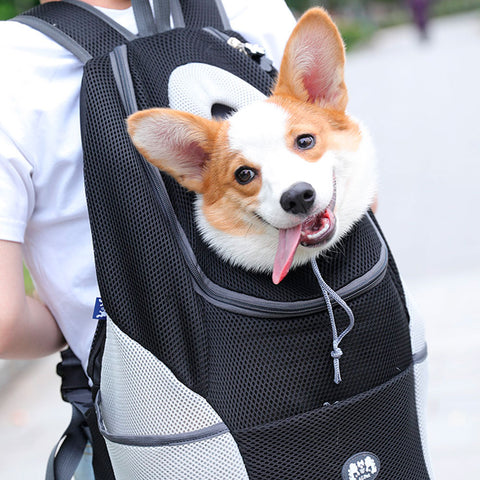 Sac de voyage et ses accessoires pour chiens