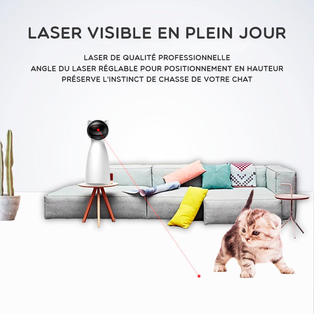 Jeux Interactif Laser Pour Chat Lasercat Doggy Co