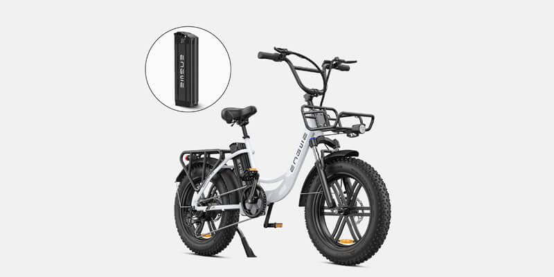 engwe l20 and an extra e-bike battery
