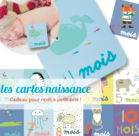 Cartes Mois Apres Mois Bebe Faire Part Magnet