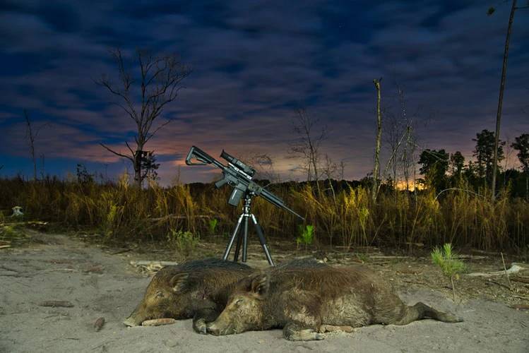 Hog hunting store boots