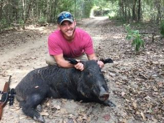 texas wild hog hunts