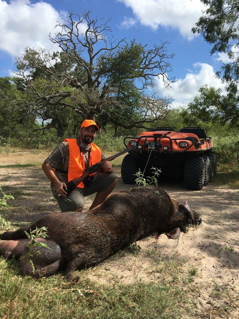 Shooting hogs in texas