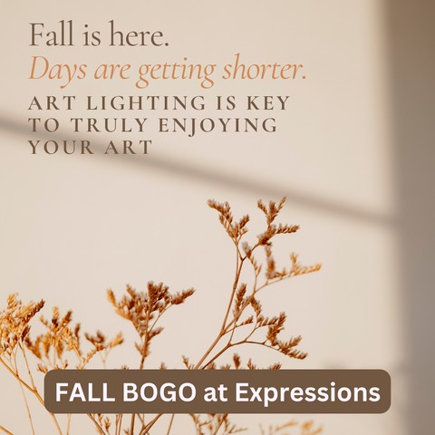 BOGO on Art Lighting this Fall. Situ Lighting available at Expressions Art Gallery & Framing LLC Buy One Get One $50 off. Days are getting shorter. Put your art in the spotlight. Set the mood. Interior Decor and Design