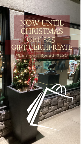 Expressions Christmas Window Shopping Get 25 dollar gift certificate when you spend 125 dollars