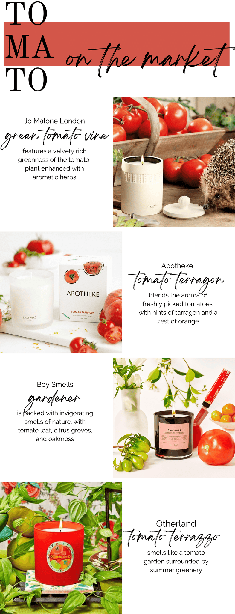 tomato fragrance trend