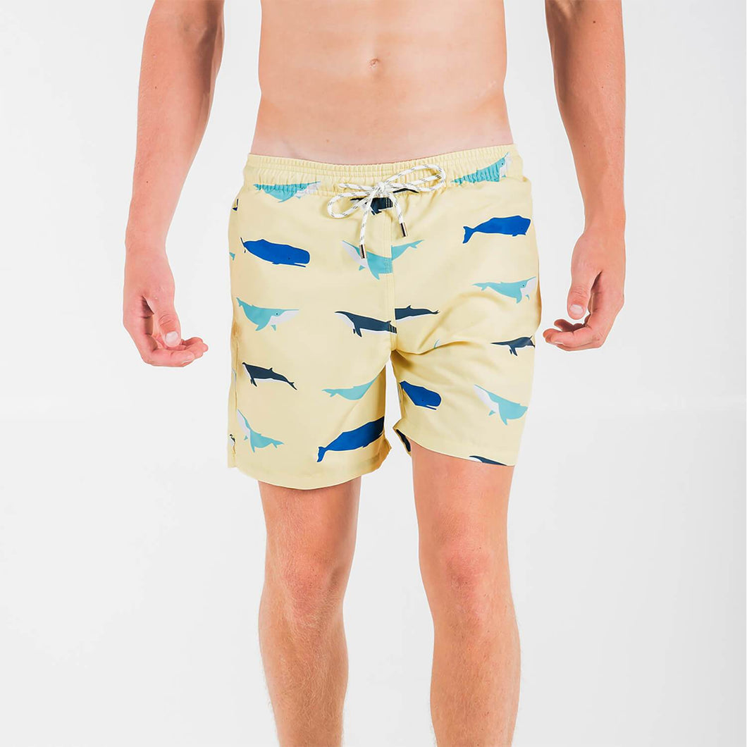 Breazies Swim Shorts : Whales – Breazies Swimwear
