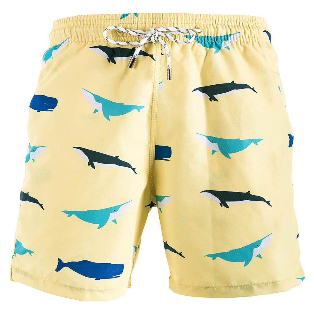Breazies Swim Shorts : Whales – Breazies Swimwear