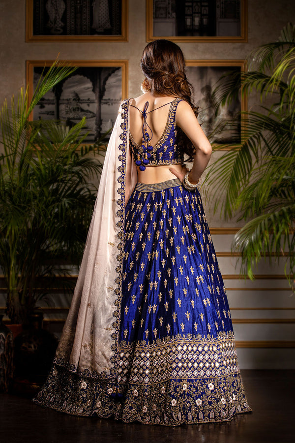 Berry blue lehenga set, intricately stone embroidered net skirt,  embroidered top & contrast net embroidered dupatta