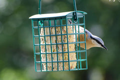 Sechs proteinreiche Energieblöcke Fettblöcke inkl. 2 gratis Futterspender zum Aufhängen, ganzjähriges Vogelfutter Fettfutter für Wildvögel (24093e)