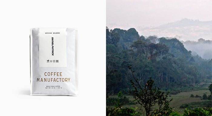 daniel patrick coffee manufactory whole blend coffee