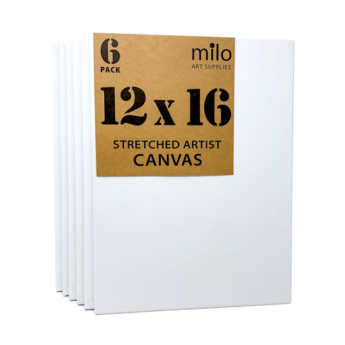 MILO, 6x6 Pack of 10 Stretched Canvas, 1-3/8 Inch Deep Profile, Back  Splined Artist Canvases for Painting