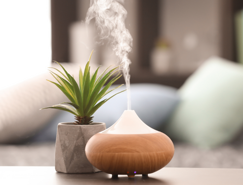 wood toned and white humidifier next to a plant on a table The Best Organic Skincare Routine For Dry Skin Eminence Organics The Facial Room