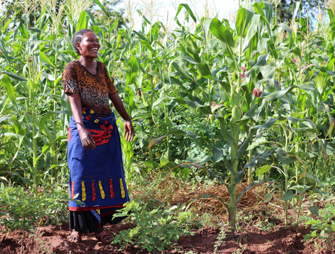 Forests For The Future - Eminence Organics - the facial room plants 100,000 trees