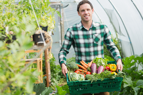 Large Greenhouse Construction