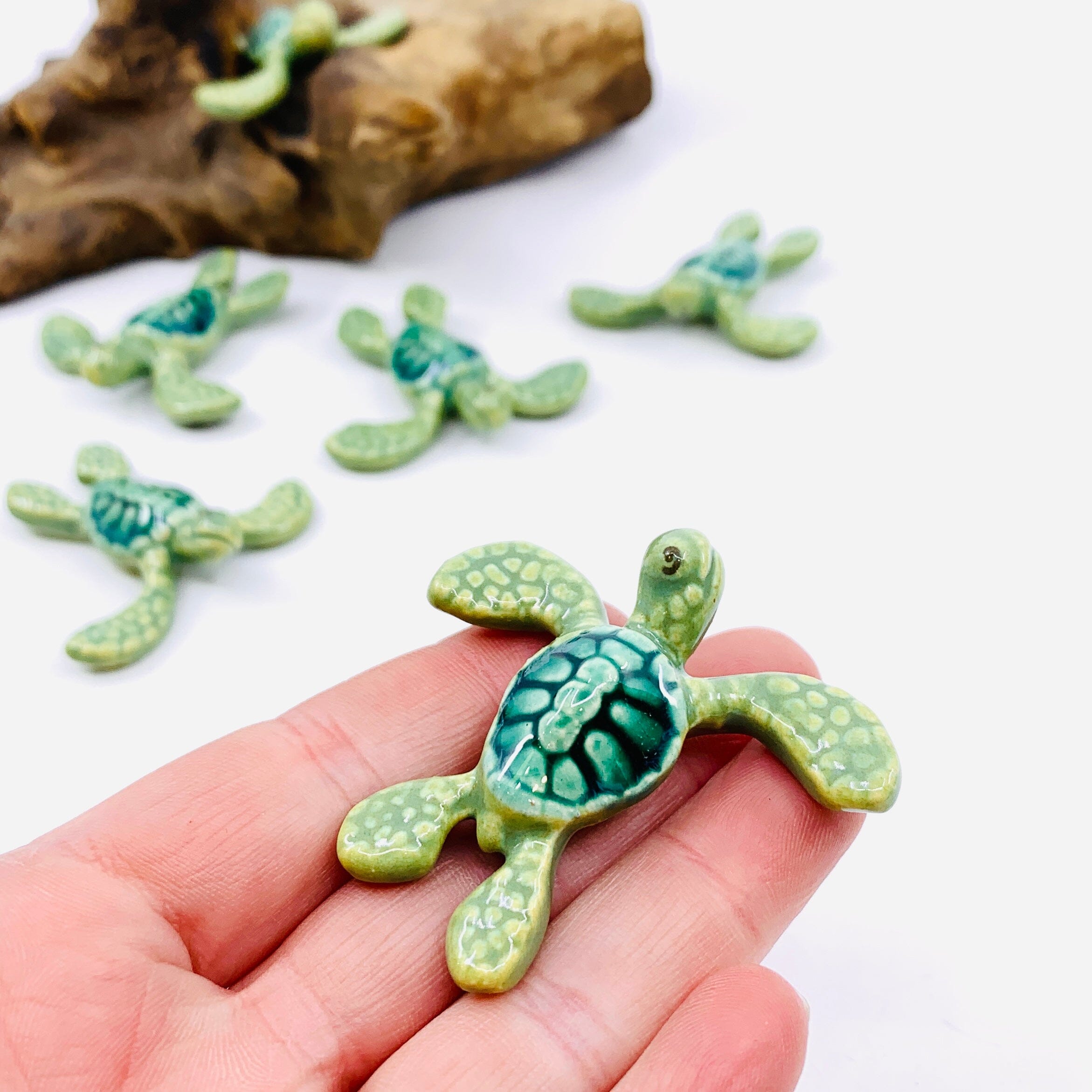 Mini Sea Turtle, Green