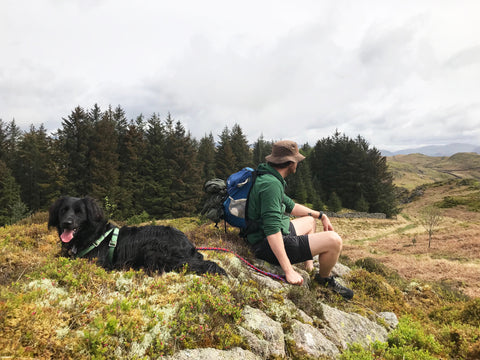 A dog and a man sitting on a rock looking at the view in the Lake District