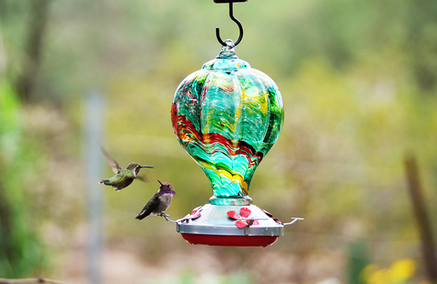 hummingbird feeder