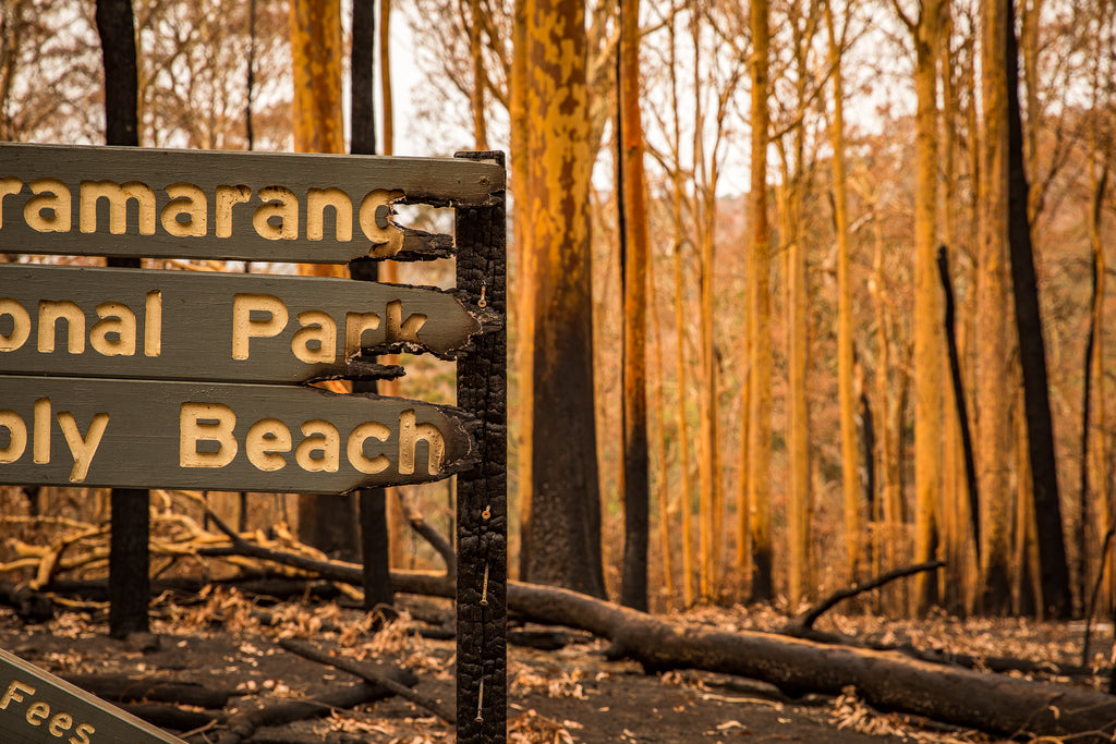 Australian bush fires on the south east coast of NSW burnt national park sign