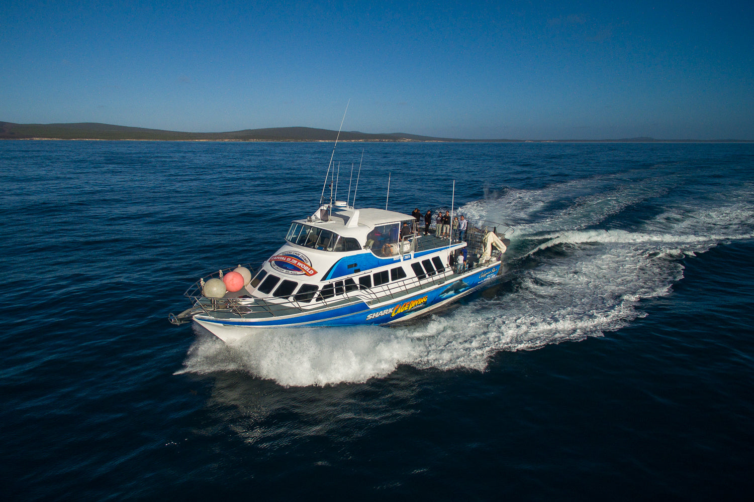 Calypso Star Charters on the way to Neptune Islands to Shark Cage Diving