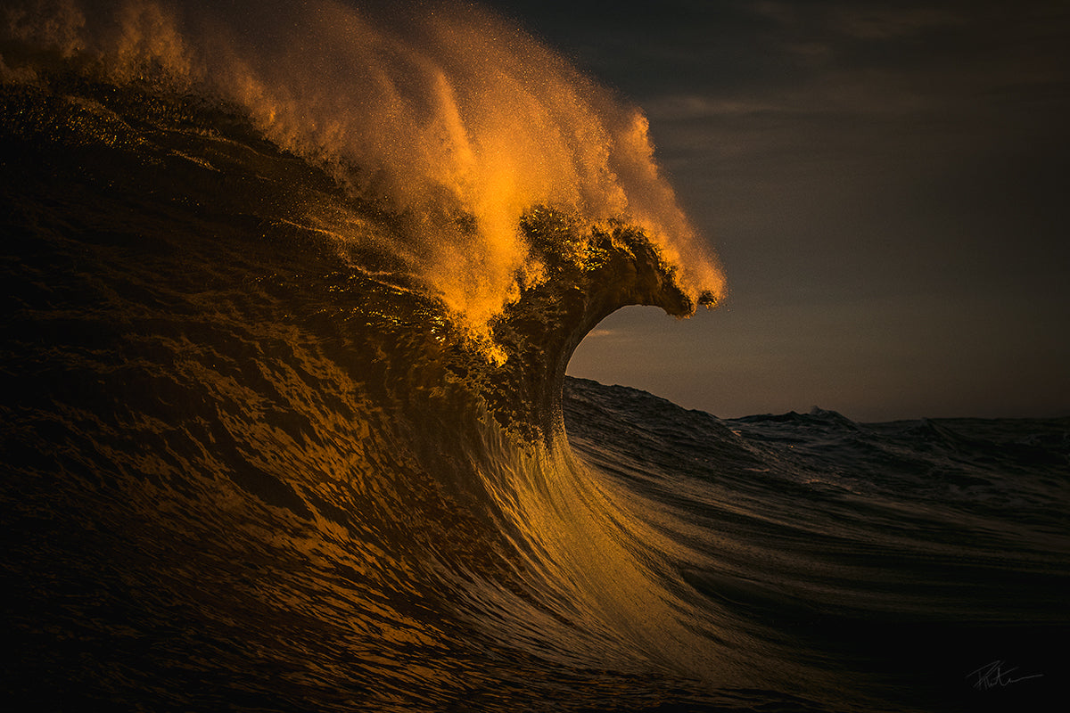 Golden Eagle Fine Art Ocean Photography shot by Thurston Photo